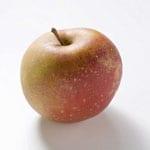 Характеристика на сортове ябълки "Боскоп" (Boskoop) за чувствителност към регуляторам растеж