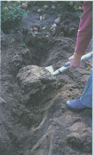 Грижи за почвата или като се направи почвата плодородна
