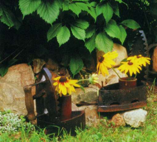 Аранжировки от цветя рудбекии в градината