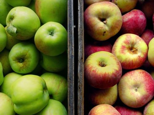 Какви условия са необходими за съхранение на ябълки