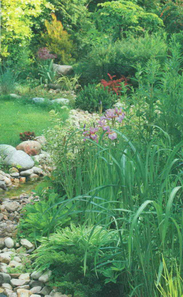 Вариант за създаване на градина с изкуствена рекичка