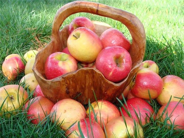 Полагане на ябълки и круши за зимата