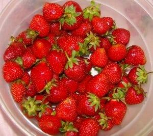 Кога и как да се събират ягоди