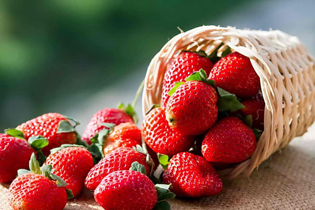 Как се полива ягоди в различни периоди на съзряване
