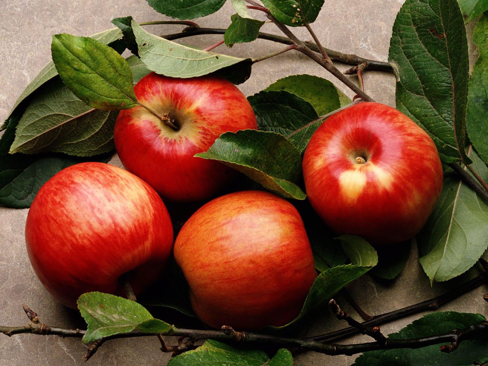 Каква е зависимостта на реколтата от листата на ябълкови дървета