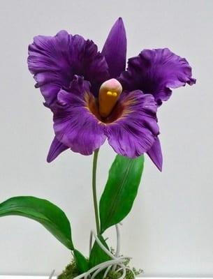Закупуване на орхидеи в магазина: как да си изберем растение