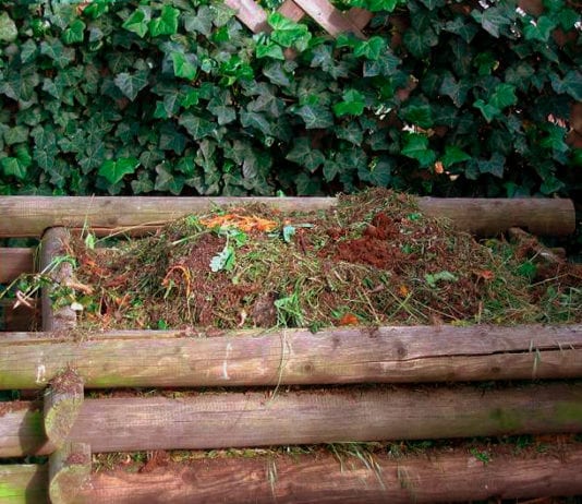 Използването на фекалиите под формата на торове